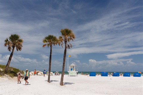 Clearwater Beach lifeguard tower with palm trees