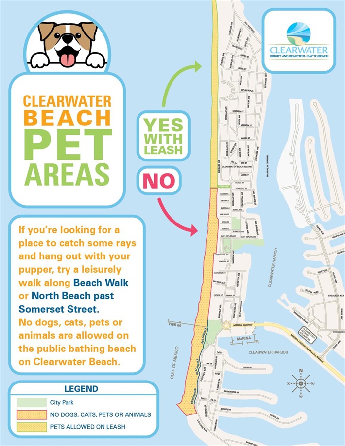 Clearwater beach pet areas