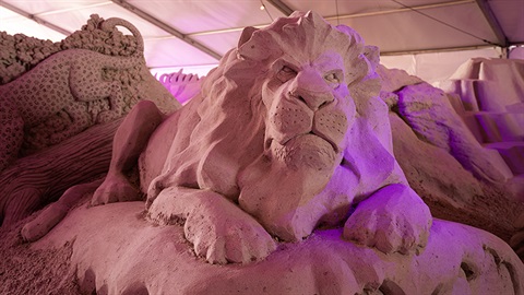 Lion sand sculpture from 2022 Pier 60 Sugar Sand Festival at Clearwater Beach