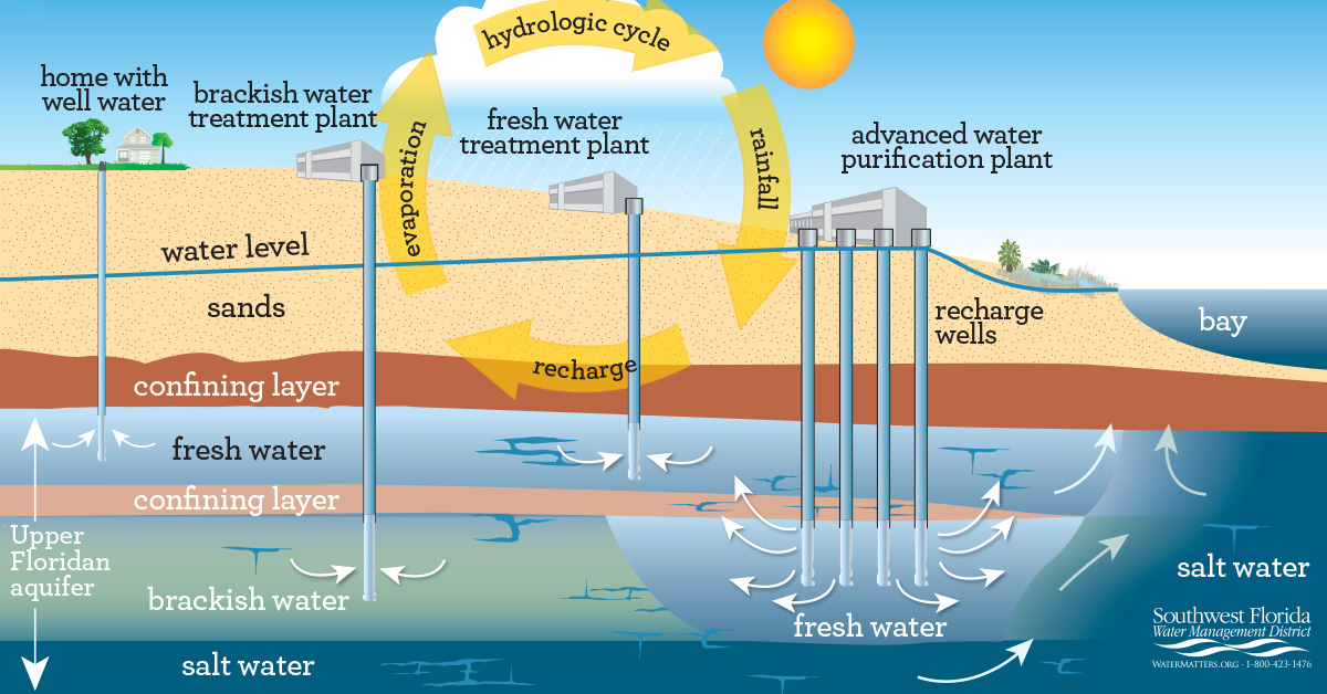 where does my water come from water cycle SWFWMD water management district