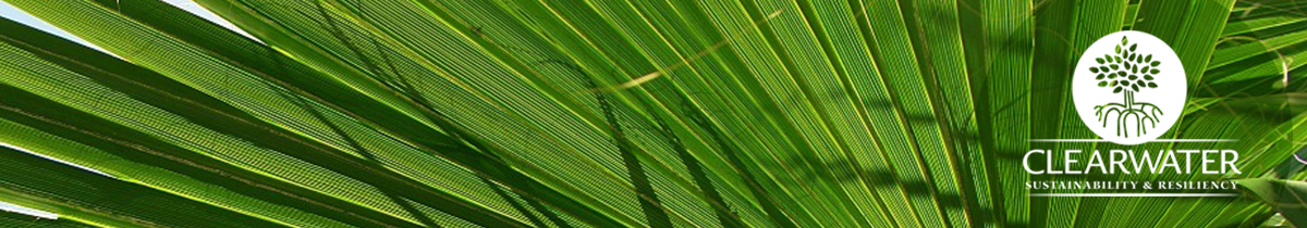 greenprint, sustainability, resiliency, palm tree, frond