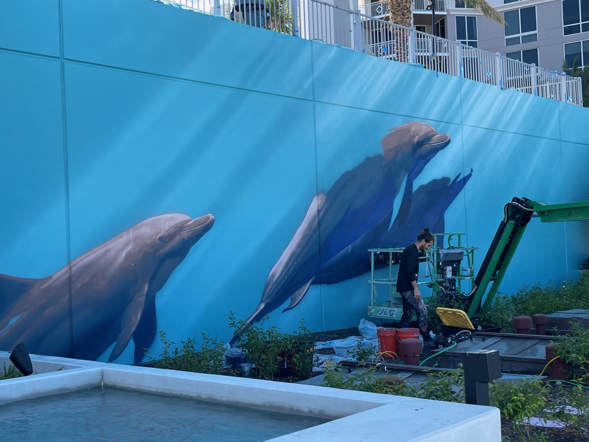 Image of artist painting dolphins on the mural
