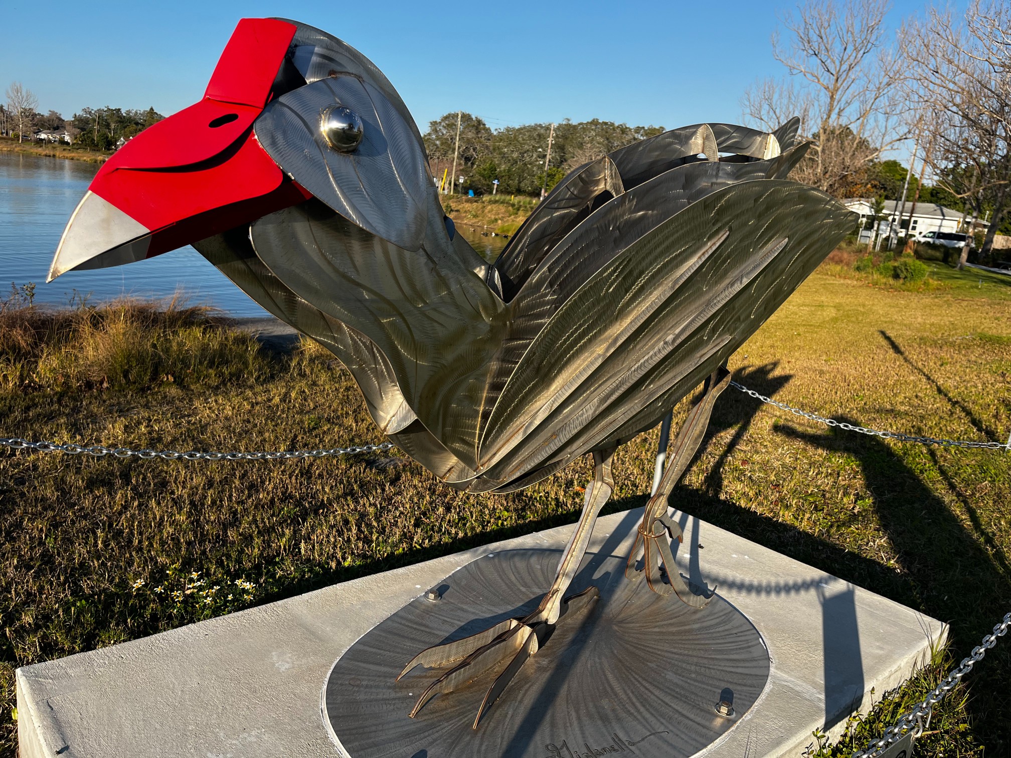 Crest-Lake-Moorhen-3.jpg
