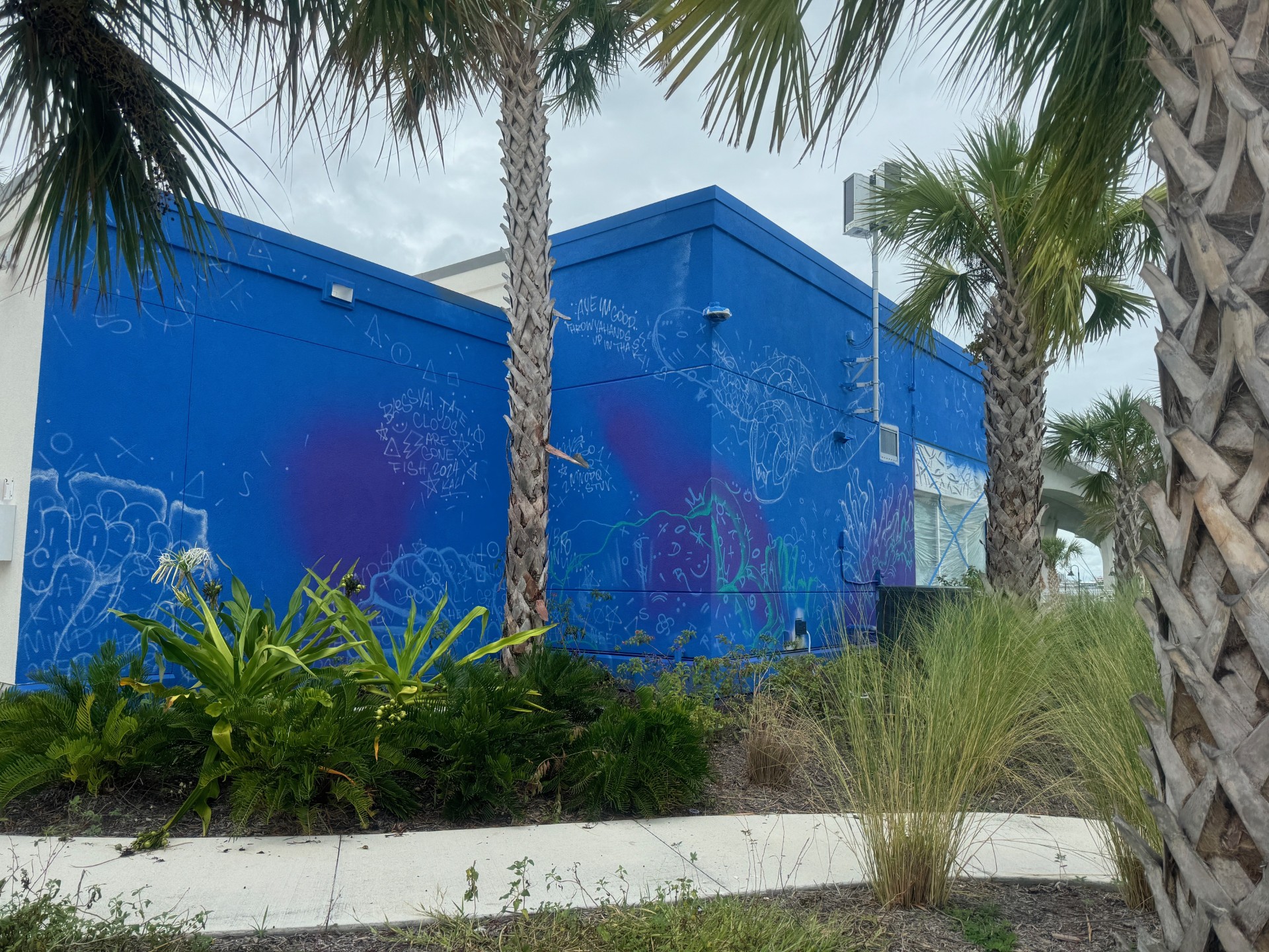 Image of blank mural wall before underwater sea life is added