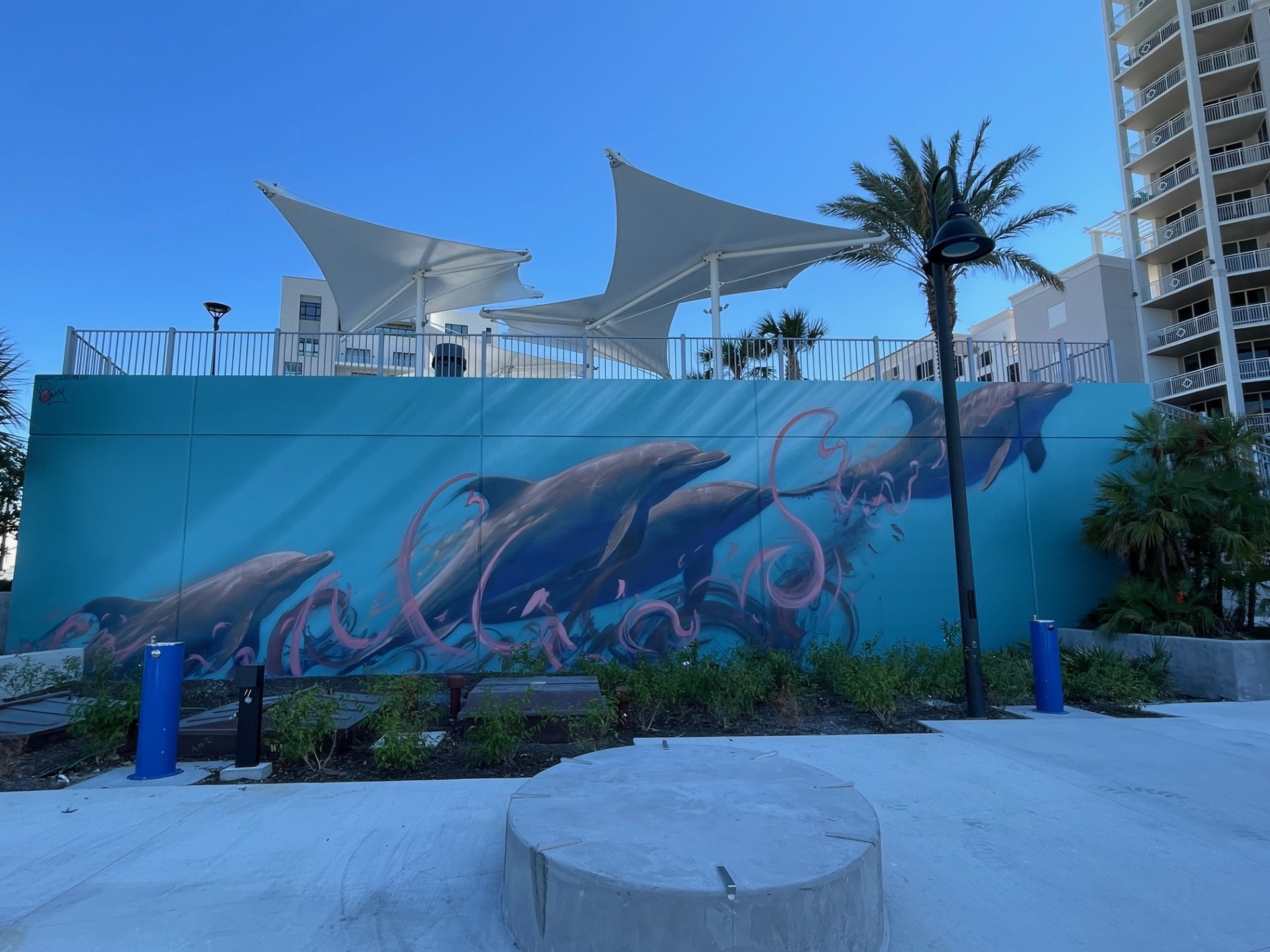 Image of completed dolphin mural