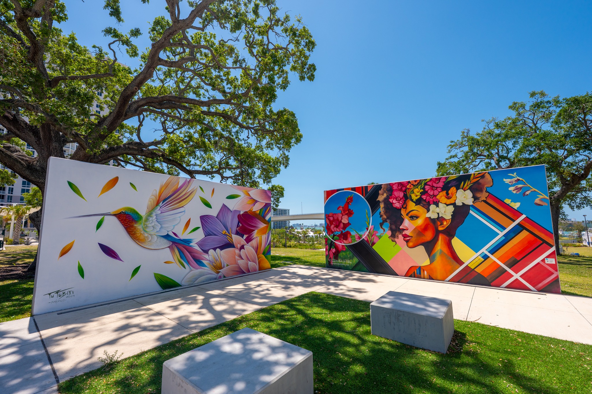 journey of hummingbird mural from afar