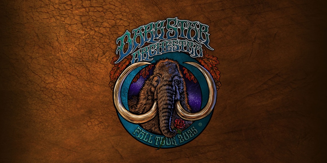 The dark star orchestra logo