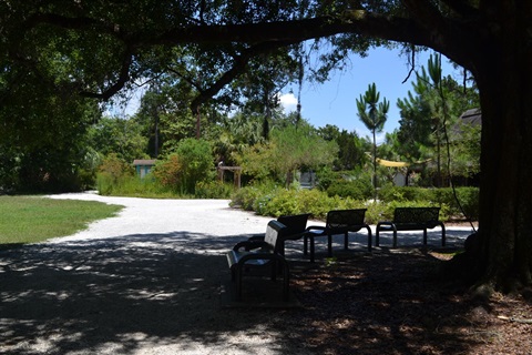 a bench under a tree in Moccasin Lake Park