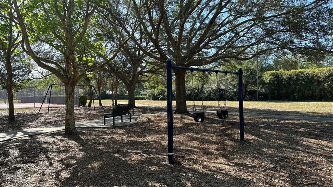 Soule Road Park swings