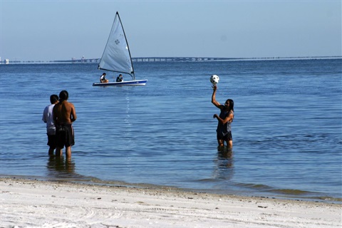 people on a beach