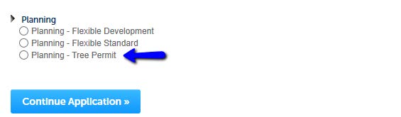 Tree Removal Permits Example 4