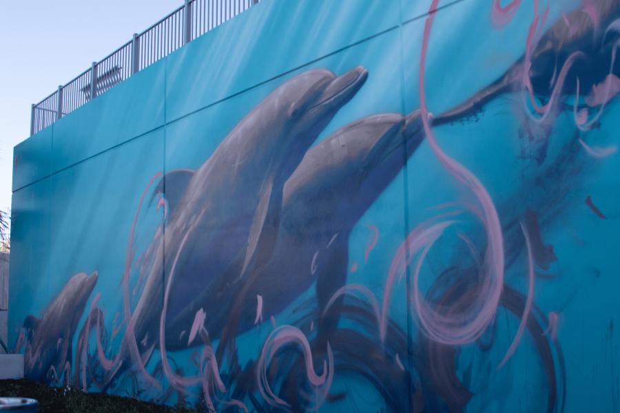 Dolphin-Mural-1-min.png