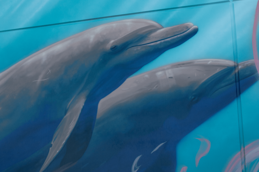 Dolphin-Mural-1-min.png
