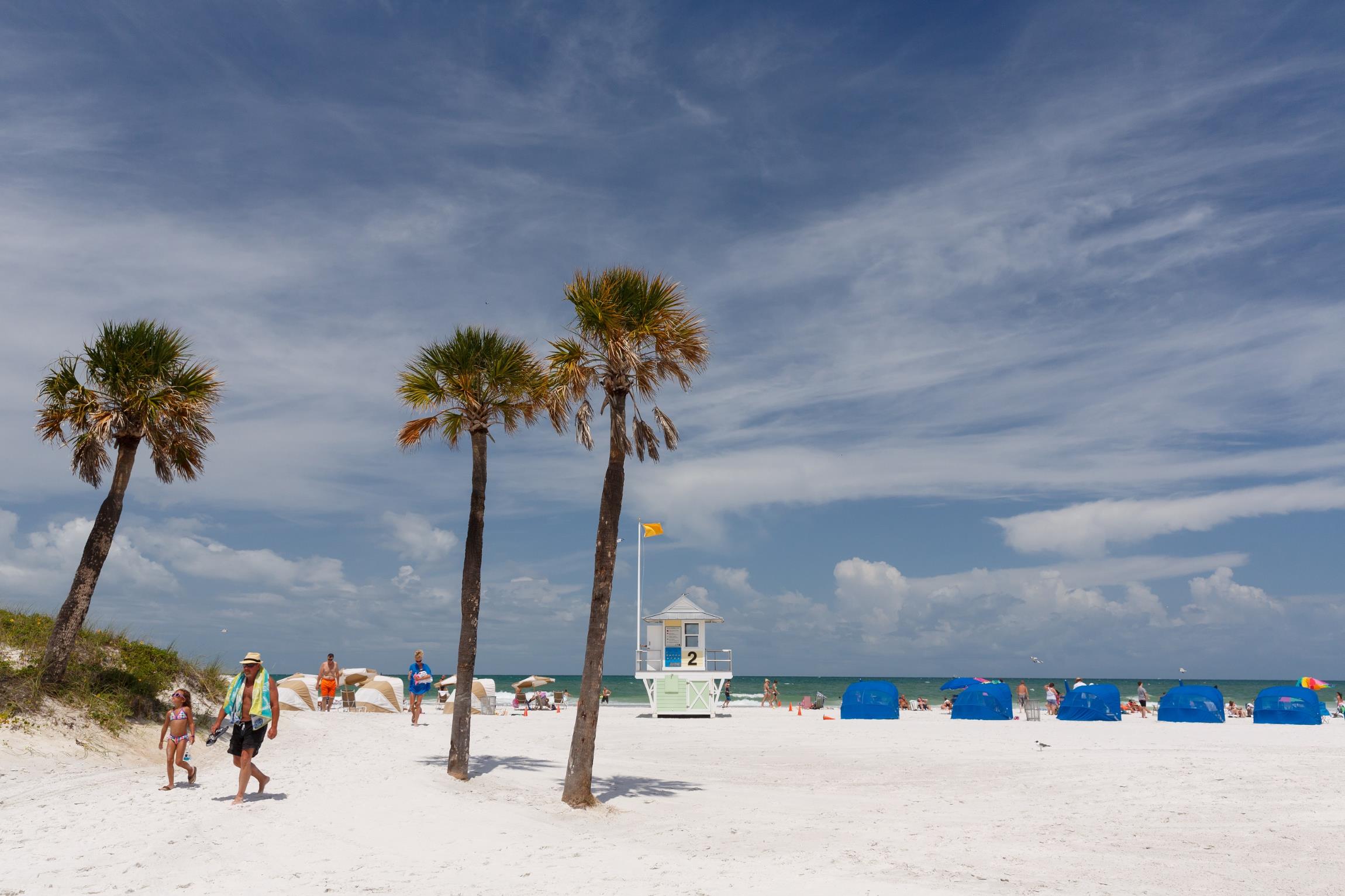 Watch american beach house online 2025 free