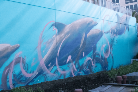 Dolphin-Mural-1-min.png